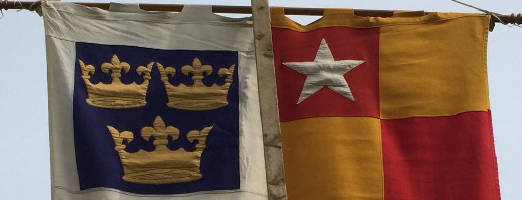 Colourful heraldic flags on the field