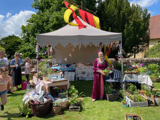 lots of plants available at the plant stall