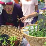 Greenery fills the photos with plants the plant stall