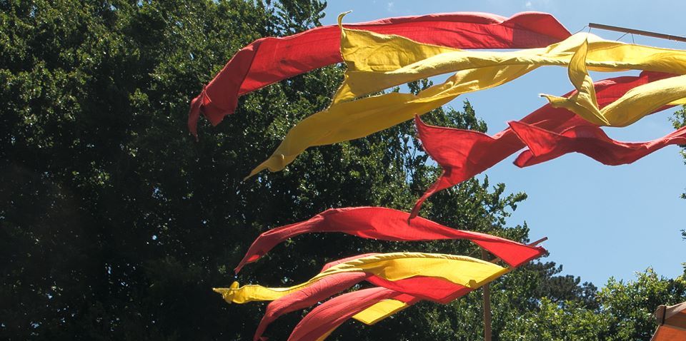 banners flying with blue sky and trees behind