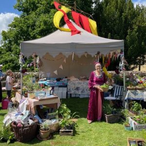 lots of plants available at the plant stall