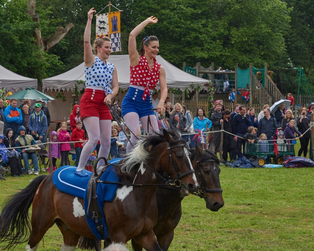 2 ladies standing on 2 horses